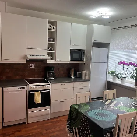 Siisti Ja Kodikas Asunnon Keskustassa+free Parking