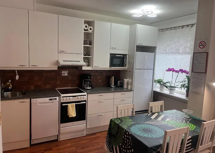 Siisti Ja Kodikas Asunnon Keskustassa+free Parking